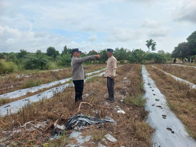 
					Bhabinkamtibmas Polsek Kumai Ajak Warga Maksimalkan Fungsi Lahan