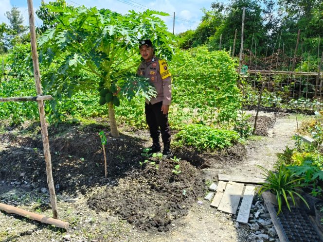 
					Polsek Kapuas Tengah laksanakan giat Pengecekan Pemanfaatan lahan di Pekarangan Desa Pujonn