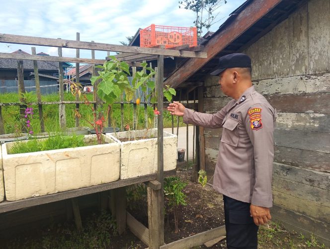 
					Polsek Kapuas Tengah melaksanakan giat Pengecekan Pemanfaatan lahan Pekarangan Desa Pujon