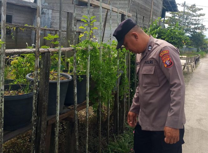 
					Polsek Kapuas Tengah melaksanakan giat Pengecekan Pemanfaatann lahan Pekarangan Desa Pujon