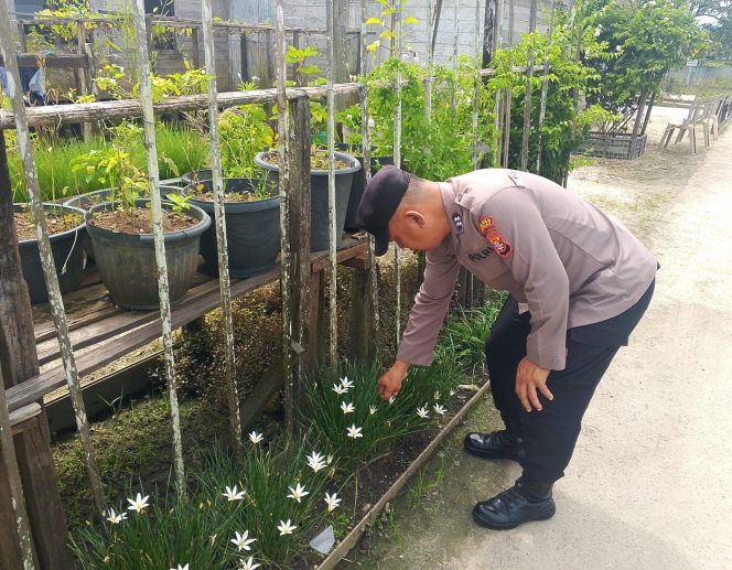 
					Polsek Kapuas Tengah laksanakan giat Pengecekan Pemanfaatan lahan di Pekarangan Desa Pujon