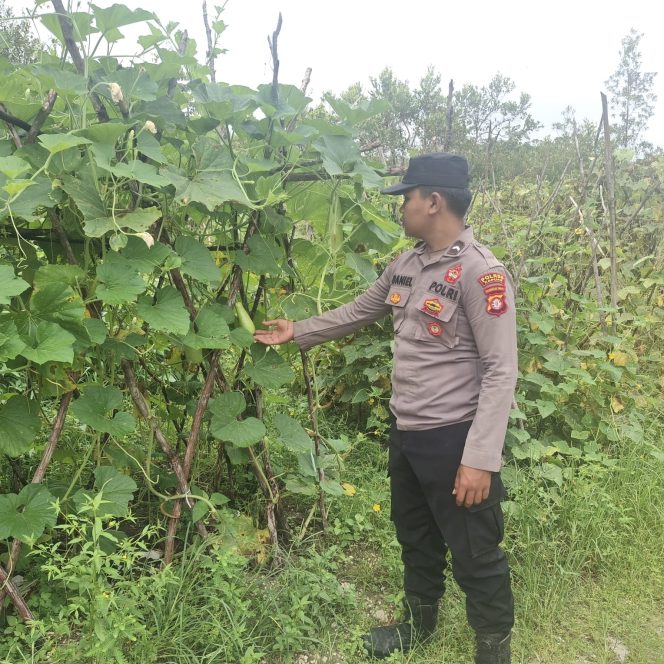 
					Polsek Kapuas Tengah melaksanakan Pengecekan Pekarangan lahan di Desa Jangkang