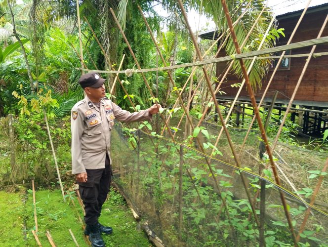 
					Polsek Kapuas Tengah melaksanakan kegiatan Pengecekan Pemanfaatan lahan Pekarangan di Desa Pujon