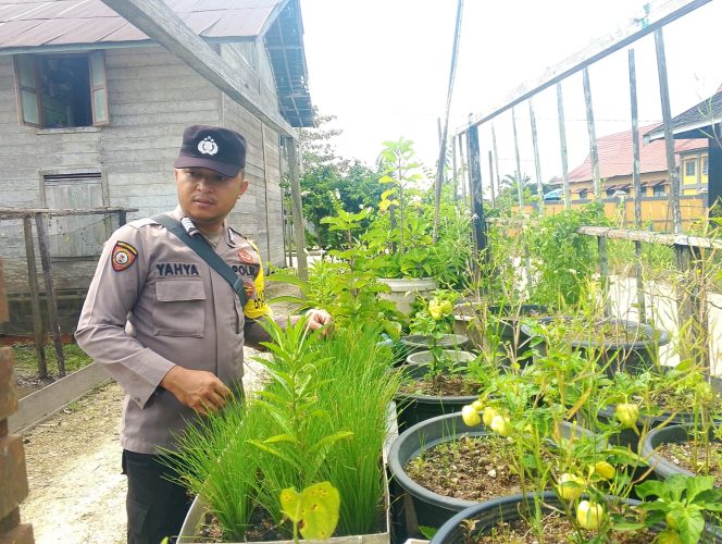 
					Polsek Kapuas Tengah laksanakan kegiatan Pengecekan Pemanfaatan lahan di Pekarangan Desa Pujon