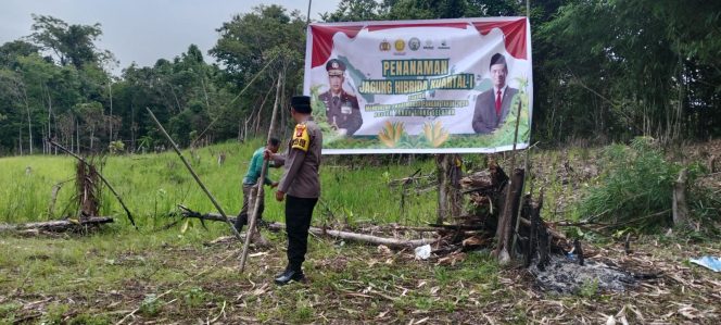 
					Bhabinkamtibmas Polsek Tanah Siang Selatan Bersama Warga Oreng Tanam Jagung Hibrida Kuartal I Ta. 2026
