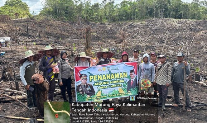 
					Dukung Program 1 Desa 1 Hektar, Polsek Murung Bersama Warga Desa Muara Ontu Tanam Jagung Hibrida