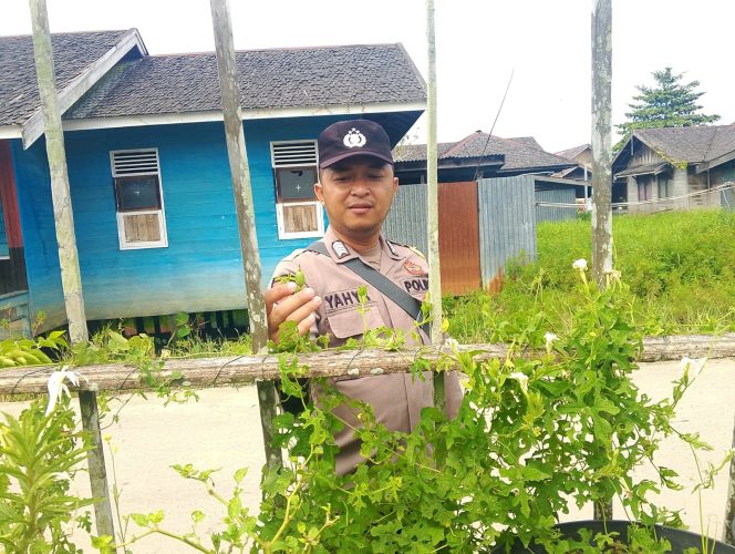 
					Anggota Polsek Kapuas Tengah melaksanakan kegiatan Pengecekan Pemanfaatan lahan Pekarangan di Desa Pujonn