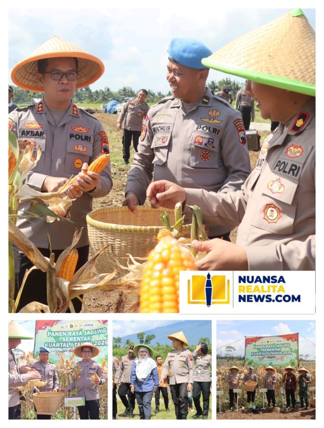 
					Polres Purbalingga Panen Jagung Serentak Kuartal I di Kutasari