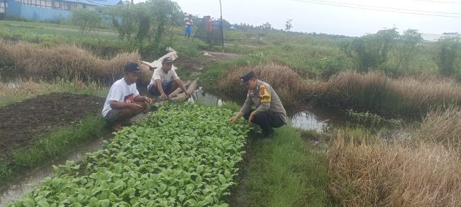 
					Polsek Basarang Dukung Ketahanan Pangan Untuk Program Makan Bergizi