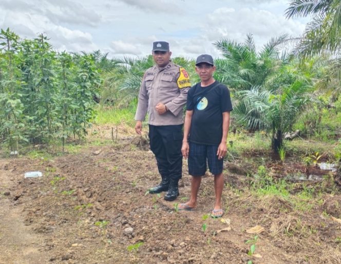 
					Giat Monitoring dan Pendampingan Pemanfaatan Lahan Pekerangan Dalam Rangka Implementasi Asta Cita Presiden Republik Indonesia Dalam Bidang Ketahanan Pangan Oleh Polsek kapuas Hilir Polres Kapuas