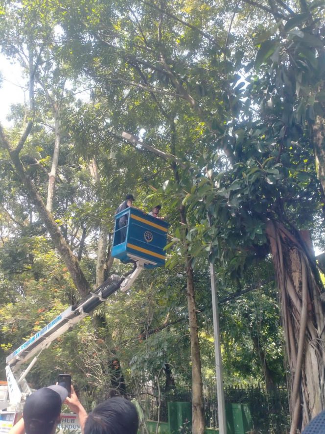 
					PJU Tertutup Pohon, Dishub Bandung Gerak Cepat Pangkas dan Terangi Jalan