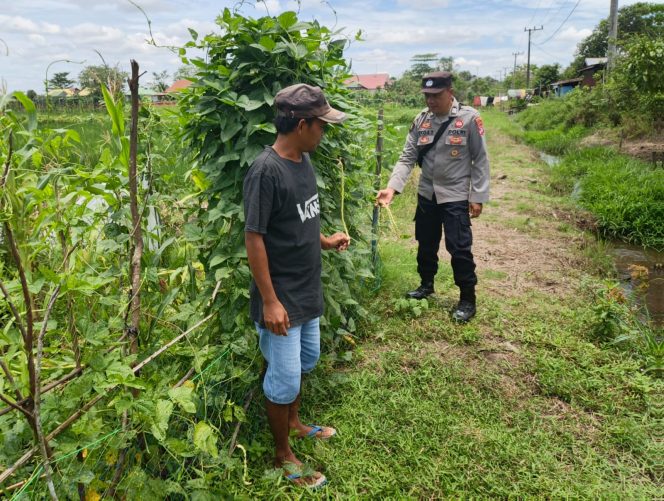 
					Giat Dukungan Terhadap Ketahanan Pangan Personil Polsek Kapuas Murung Pemanfaatan Lahan Pekarangan Mandiri
