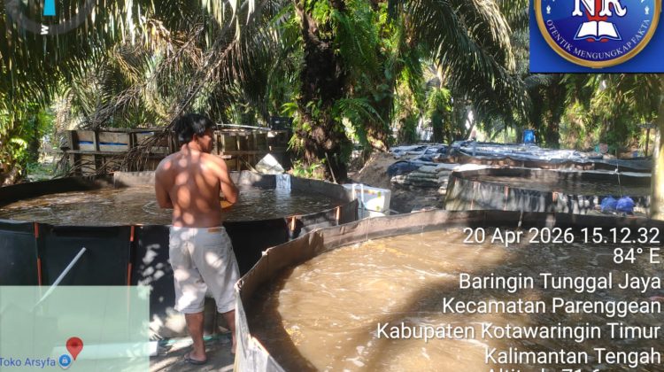 Sakti! Kang Adi S Sulap Pekarangan Rumah Jadi Pundi Rupiah Lewat Budidaya Ikan