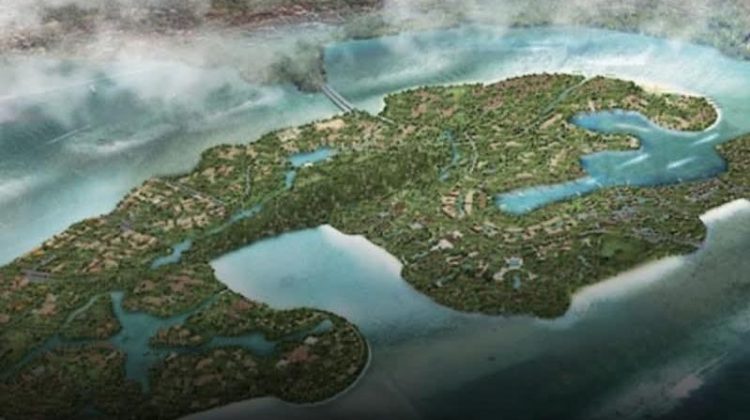 DPRD Bali Hentikan Sementara Proyek KEK Kura-Kura Bali, Dugaan Tukar Guling Lahan Mangrove Bodong Jadi Sorotan