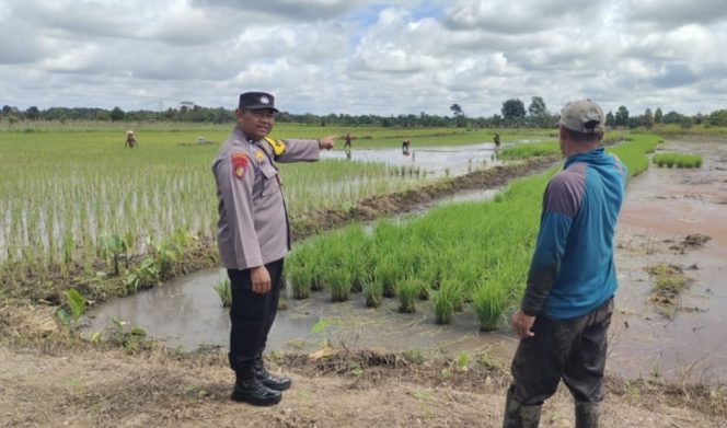 
					Giat Monitoring Dan Pendampingan Pemanfaatan Lahan Pekerangan Dalam Rangka Implementasi Asta Cita Presiden Republik Indonesia Dalam Bidang Ketahanan Pangan Oleh Polsek kapuas Hilir Polres Kapuas