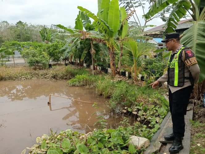 
					Dukung Ketahanan Pangan, Polsek Kapuas Barat Monitoring Budidaya Ikan Patin di Mandomai