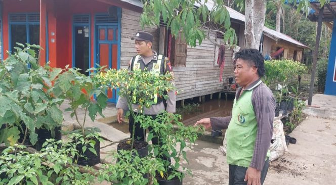 
					Polsek Kapuas Barat Melalui Polmas/Bhabinkamtibmas Dorong Ketahanan Pangan Lewat Pemanfaatan Pekarangan Pangan Bergizi