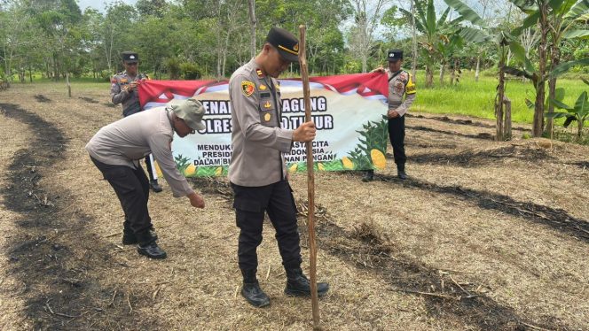 
					**Kapolsek Dusun Tengah Pimpin Penanaman Jagung, Langkah Strategis Wujudkan Ketahanan Pangan Nasional**