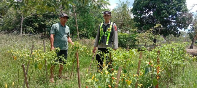 
					Polsek Pulau Petak melaksanakan  Giat Pengecekan Pemanfaatan lahan Pekarangan Mandiri
