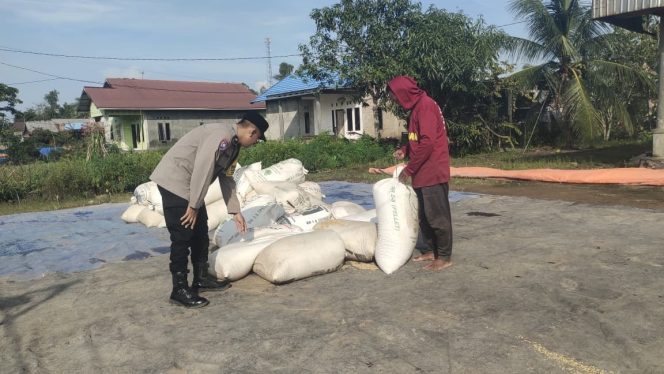 
					Kawal Ketahanan Pangan, Bhabinkamtibmas Food Estate Cek Hasil Panen Padi di Belanti Siam