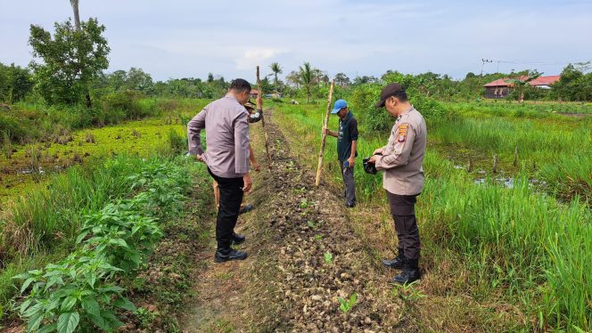 
					Polsek Pulau Petak melaksanakan  Giat Pengecekan Pemanfaatan lahan Pekarangan Mandiri