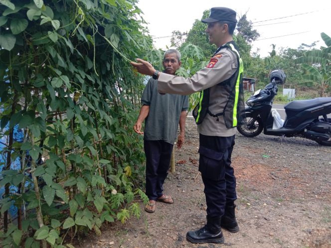 
					Polsek Pulau Petak melaksanakan  Giat Pengecekan Pemanfaatan lahan Pekarangan Mandiri