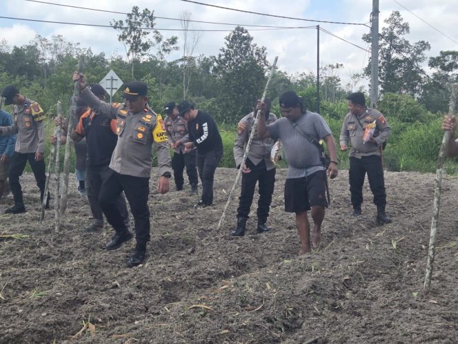 
					Optimalkan Potensi Desa, Polsek Sepang Hijaukan 2 Hektar Lahan Binaan dengan Bibit Unggul