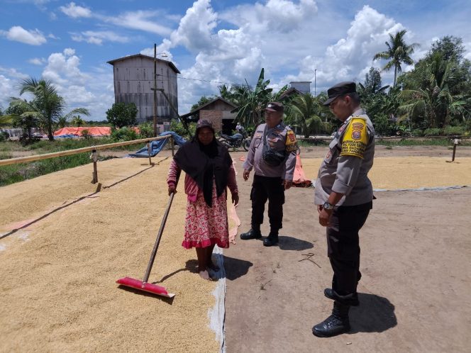 
					Dukung Ketahanan Pangan, Bhabinkamtibmas Food Estate Gadabung Sambangi Petani Jemur Padi