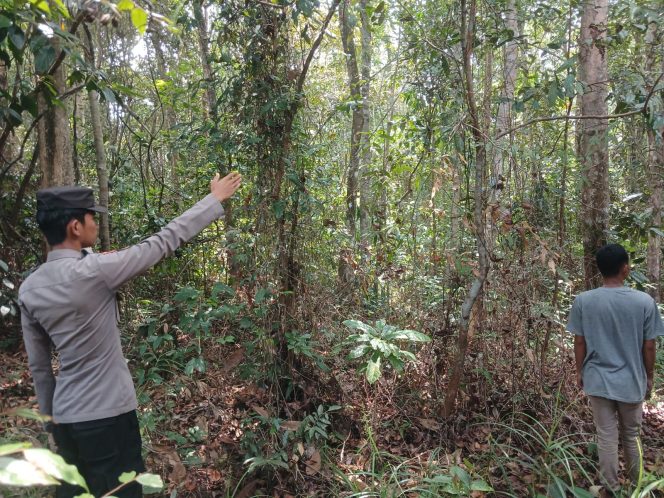 
					Sosialisasi Maklumat Kapolda: Polsek Manuhing Ajak Warga Tumbang Talaken Jaga Hutan