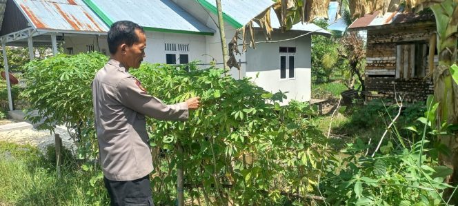
					Giat Monitoring Dan Pendampingan Pemanfaatan Lahan Pekerangan Dalam Rangka Implementasi Asta Cita Presiden Republik Indonesia Dalam Bidang Ketahanan Pangan Oleh Polsek kapuas Hilir Polres Kapuas