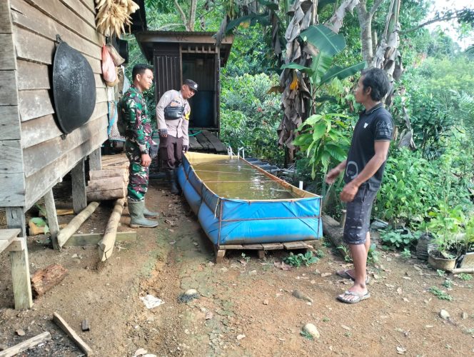 
					Bhabinkamtibmas dan Babinsa Pospol Sei Babuat Sambangi Budidaya Ikan Nila di Desa Binaan