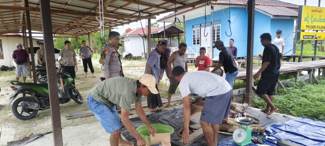 
					Polsek Kapuas Tengah Kurban 1 Ekor Sapi dan 1 Ekor Kambing dalam rangka Hari Raya Idul Adha 1447 H/2026 M
