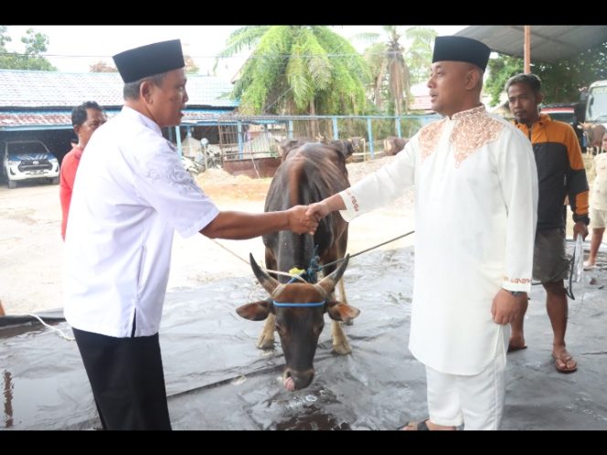 
					Polres Barito Utara dan Polsek Jajaran Kompak Laksanakan Qurban, Distribusikan Daging Qurban kepada Warga Sekitar