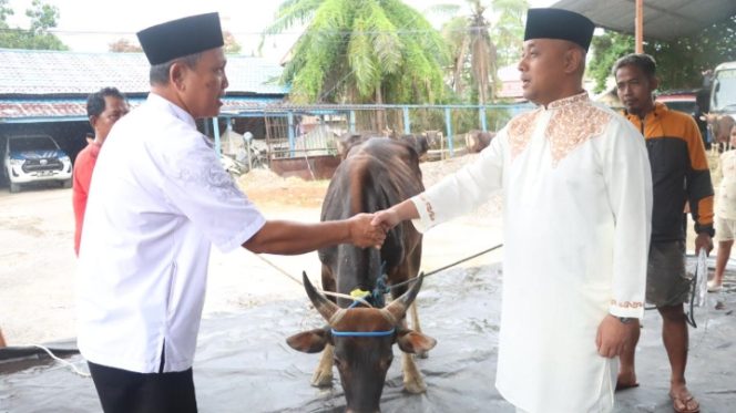 
					Polres Barito Utara Salurkan Hewan Kurban untuk Wartawan, Pererat Sinergi dengan Insan Pers