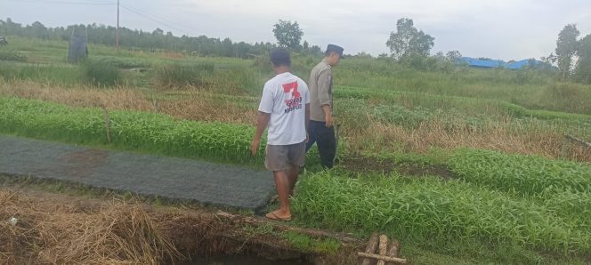
					Polsek Basarang Dukung Ketahanan Pangan Untuk Program Makan Bergizi
