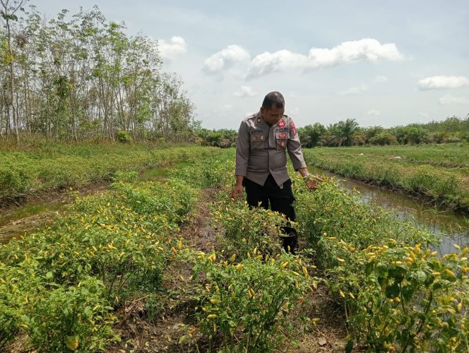 
					Polsek Basarang Dukung Ketahanan Pangan Untuk Program Makan Bergizi