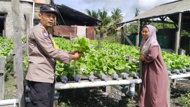 
					Dukung Ketahanan Pangan, Bhabinkamtibmas Karang Mulya Sambangi Petani Hidroponik