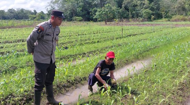 
					Dukung Swasembada Pangan, Polsek Kapuas Barat Pantau Budidaya Jagung di Desa Anjir Kalampan