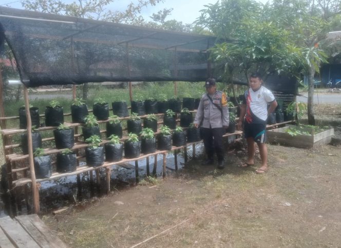 
					Akselerasi Ketahanan Pangan, Polsek Kapuas Barat Pantau Progres Budidaya Hortikultura di Saka Mangkahai