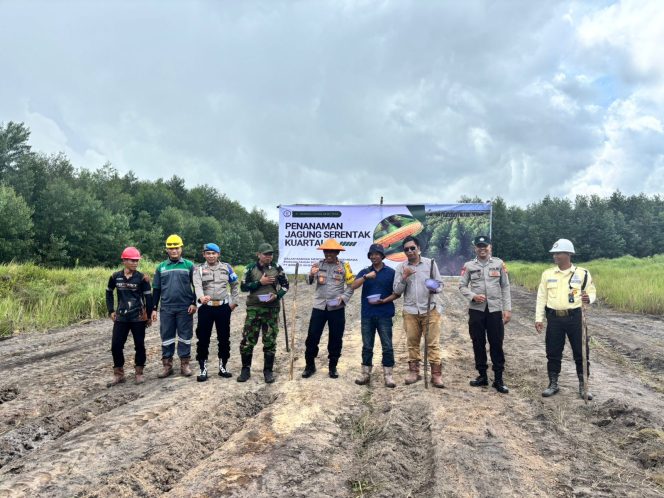 
					POLSEK SERUYAN HILIR PIMPIN PENANAMAN JAGUNG TUMPANG SARI DI LAHAN PT. BORNEO IKHSAN SEJAHTERA