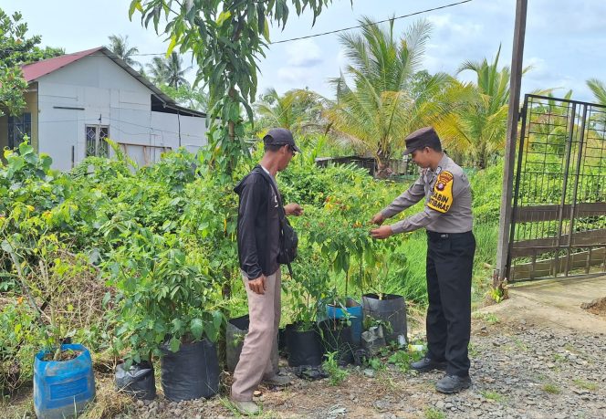 
					Dukung Ketahanan Pangan, Polsek Kahayan Kuala Ajak Warga Manfaatkan Pekarangan