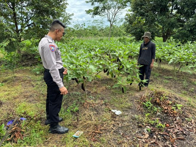 
					Dukung Ketahanan Pangan, Bhabinkamtibmas Ajak Warga Manfaatkan Lahan Kosong