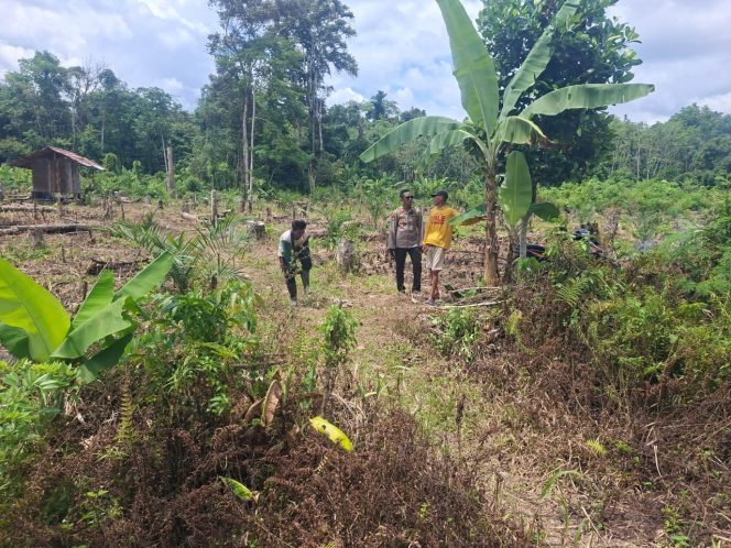 
					Dukung Program ASTA CITA Pemerintah, Polres Barito Utara Optimalkan Ketahanan Pangan di Gunung Timang