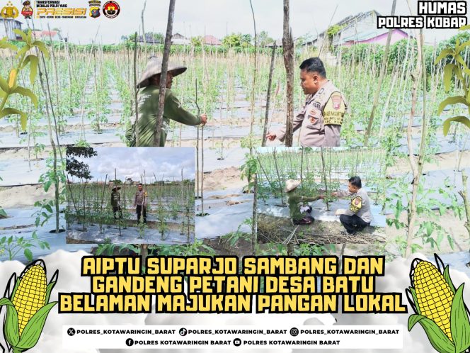 
					Aiptu Suparjo Sambang Dan Gandeng Petani Desa Batu Belaman Majukan Pangan Lokal
