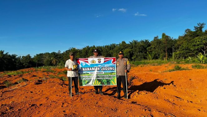 
					POLSEK DANAU SEMBULUH DUKUNG KETAHANAN PANGAN MELALUI PENANAMAN JAGUNG DI DESA TABIKU