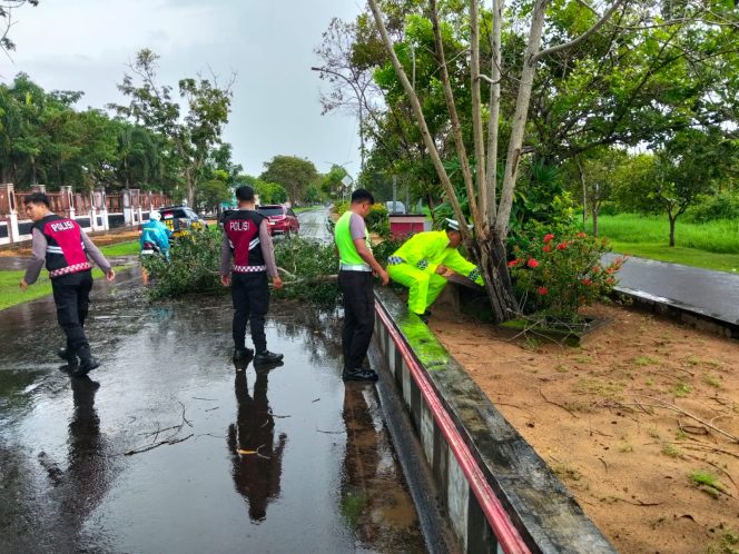 
					RESPONS CEPAT! SATLANTAS DAN SAT SAMAPTA POLRES SERUYAN EVAKUASI POHON TIMBANG DI JALAN A. YANI