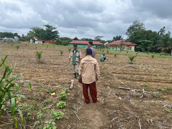
					Bhabinkamtibmas dan Kapolsek Balai Riam Monitoring Perkembangan Lahan Jagung di Desa Sekuningan Baru