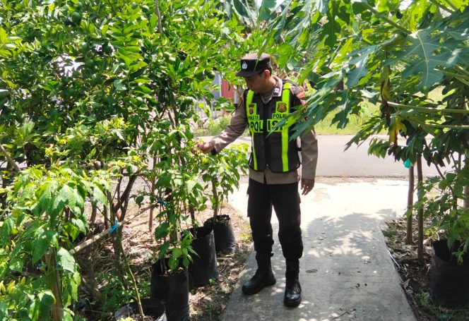 
					Dukung Ketahanan Pangan, Polsek Kapuas Barat Cek Kebun Hortikultura di Mandomai
