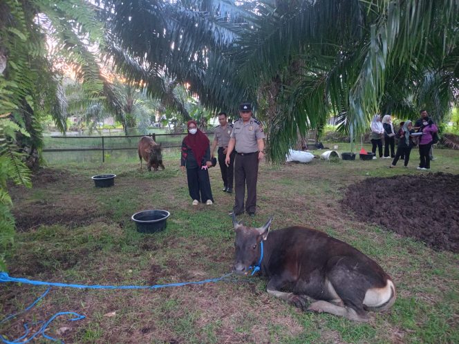 
					SIDOKKES POLRES SERUYAN GELAR PEMERIKSAAN KESEHATAN HEWAN QURBAN ANTEMORTEM