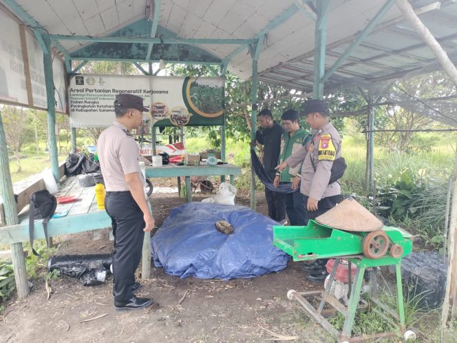
					Bhabinkamtibmas Desa Natai Sedawak Cek Pembuatan Pupuk Kompos Limbah Jagung